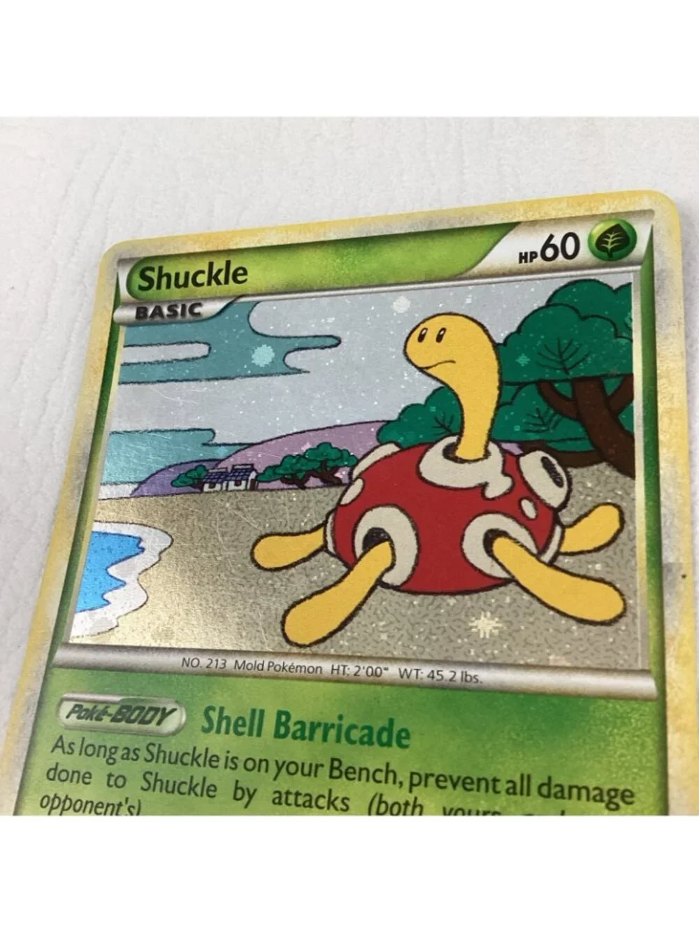 Shuckle 11/123 Heartgold & Soulsilver Pokemon TCG Card Holo Rare 2010 EX Cond